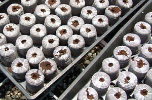 Jiffy 7 Propagation Peat/Compost Plug Pellets
